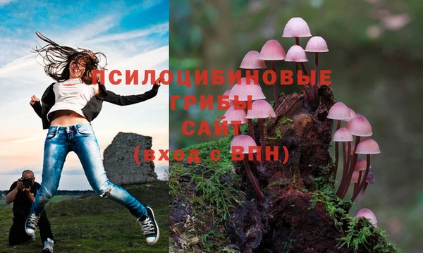 дмт Абинск