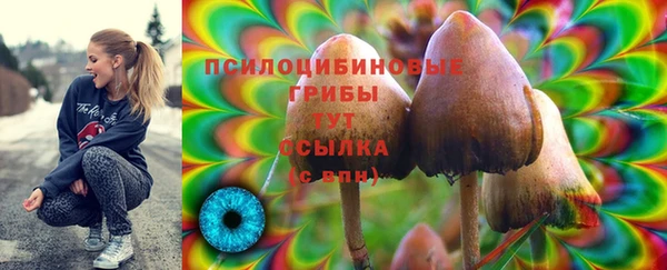 дмт Абинск