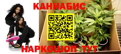 индика Пыть-Ях