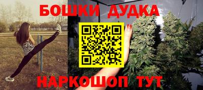 индика Пыть-Ях