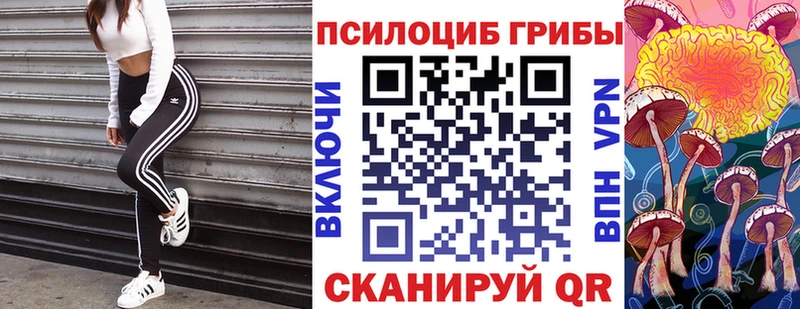 Галлюциногенные грибы Psilocybe  что такое   Аксай 